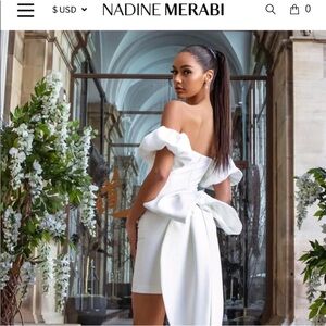 NADINE MERABI Emiliee dress- Reposhing